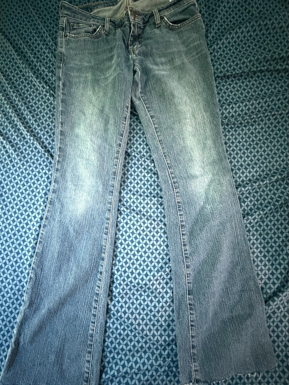 American Eagle Outfitters Light Blue Flare Jeans